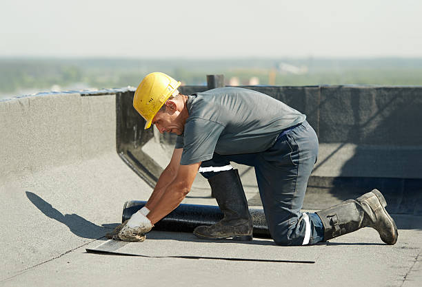 Best Basement Insulation  in Sparta, NC